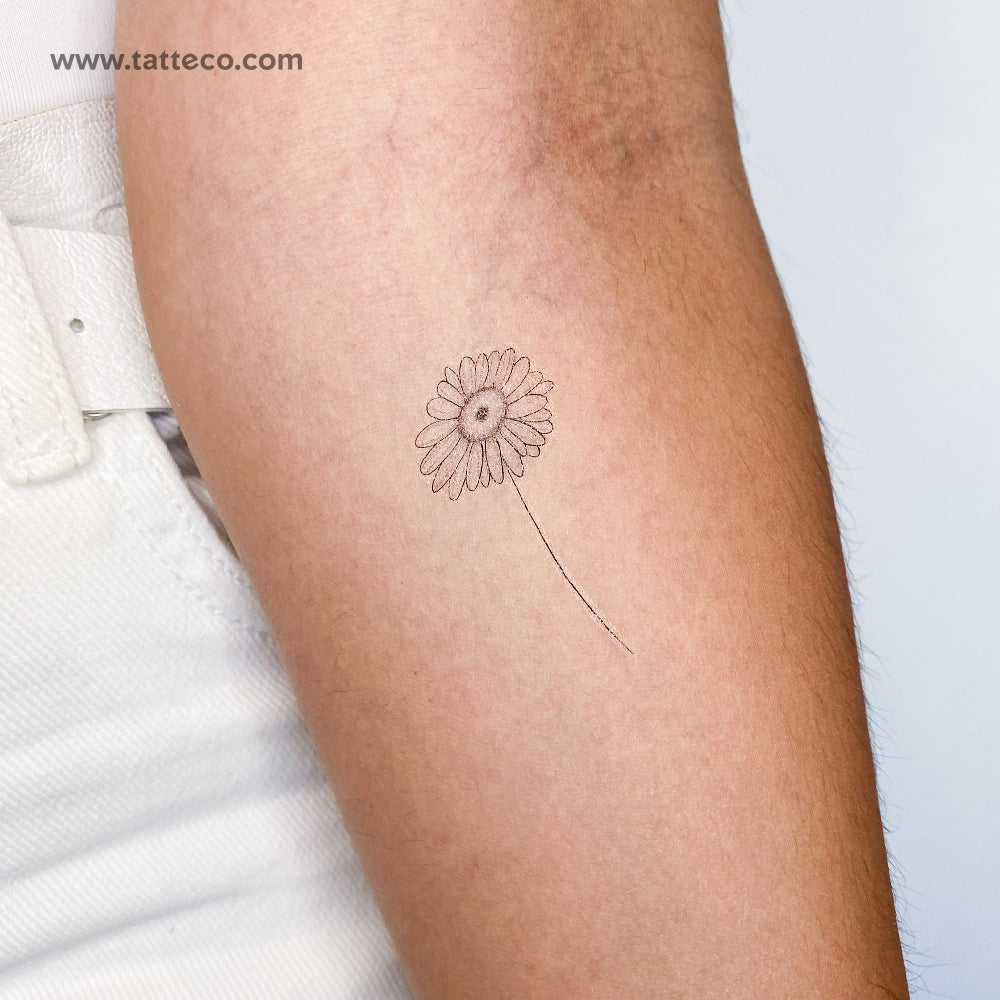 Tatuaje temporal de margarita de línea fina - Juego de 3