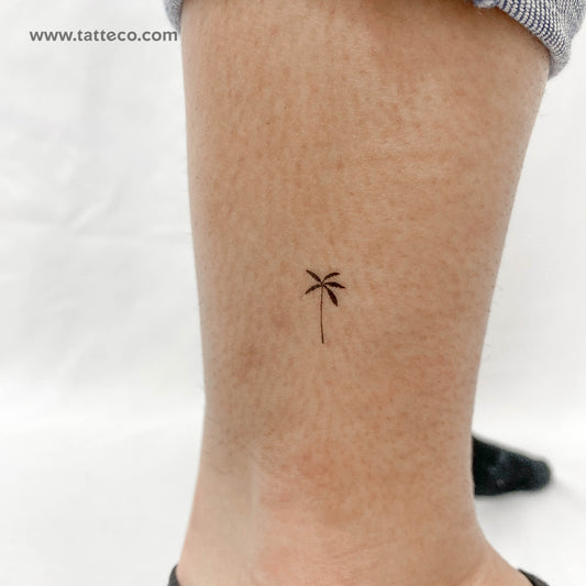Tatuaje temporal de palmera datilera - Juego de 3