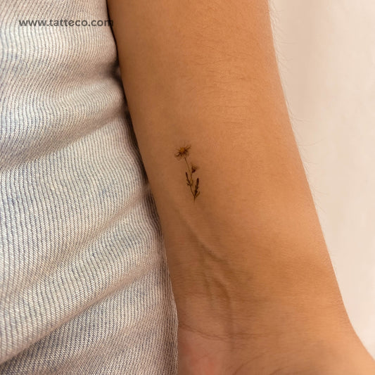 Tatuaje temporal de margarita pequeña en acuarela (juego de 3)