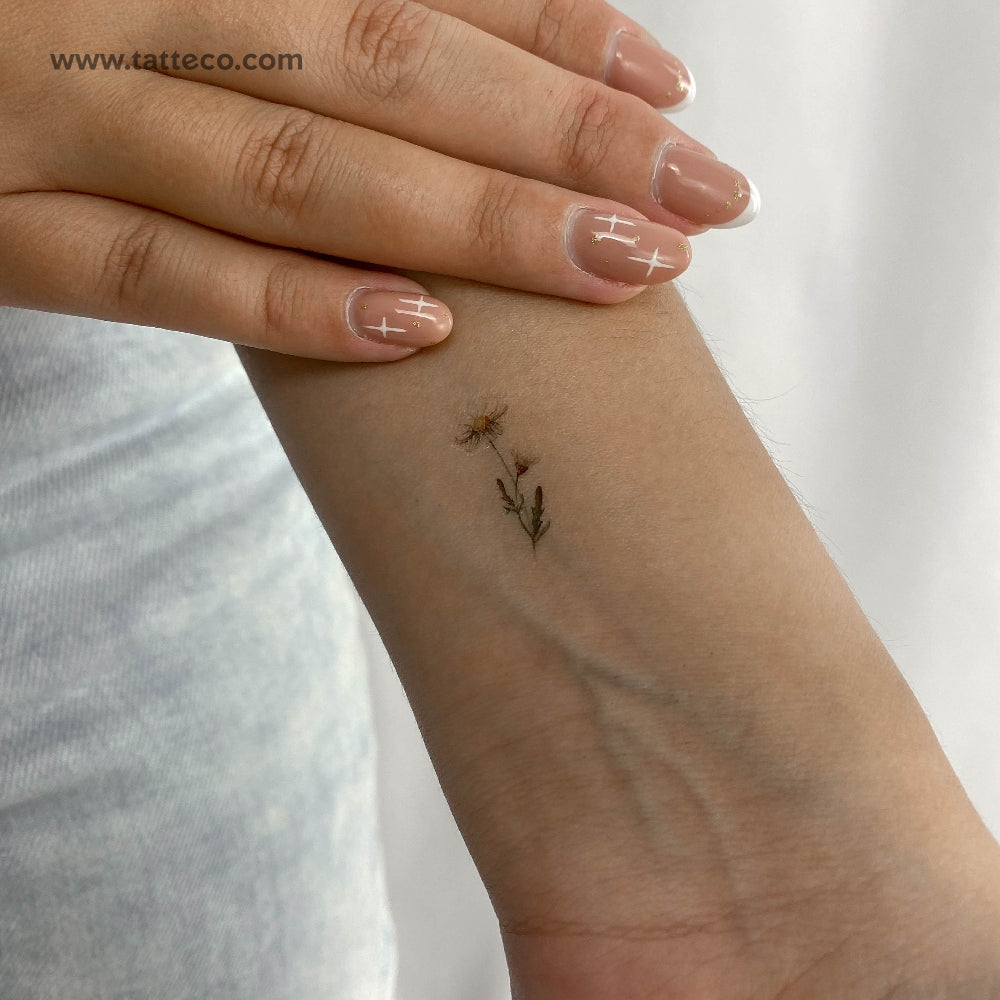 Small Watercolor Daisy Temporary Tattoo - Set of 3