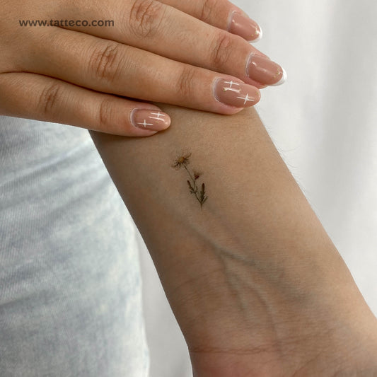 Tatuaje temporal de margarita pequeña en acuarela (juego de 3)