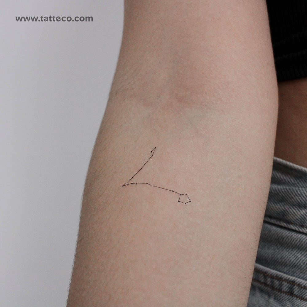 Tatuaje temporal pequeño de la constelación de Piscis (juego de 3)