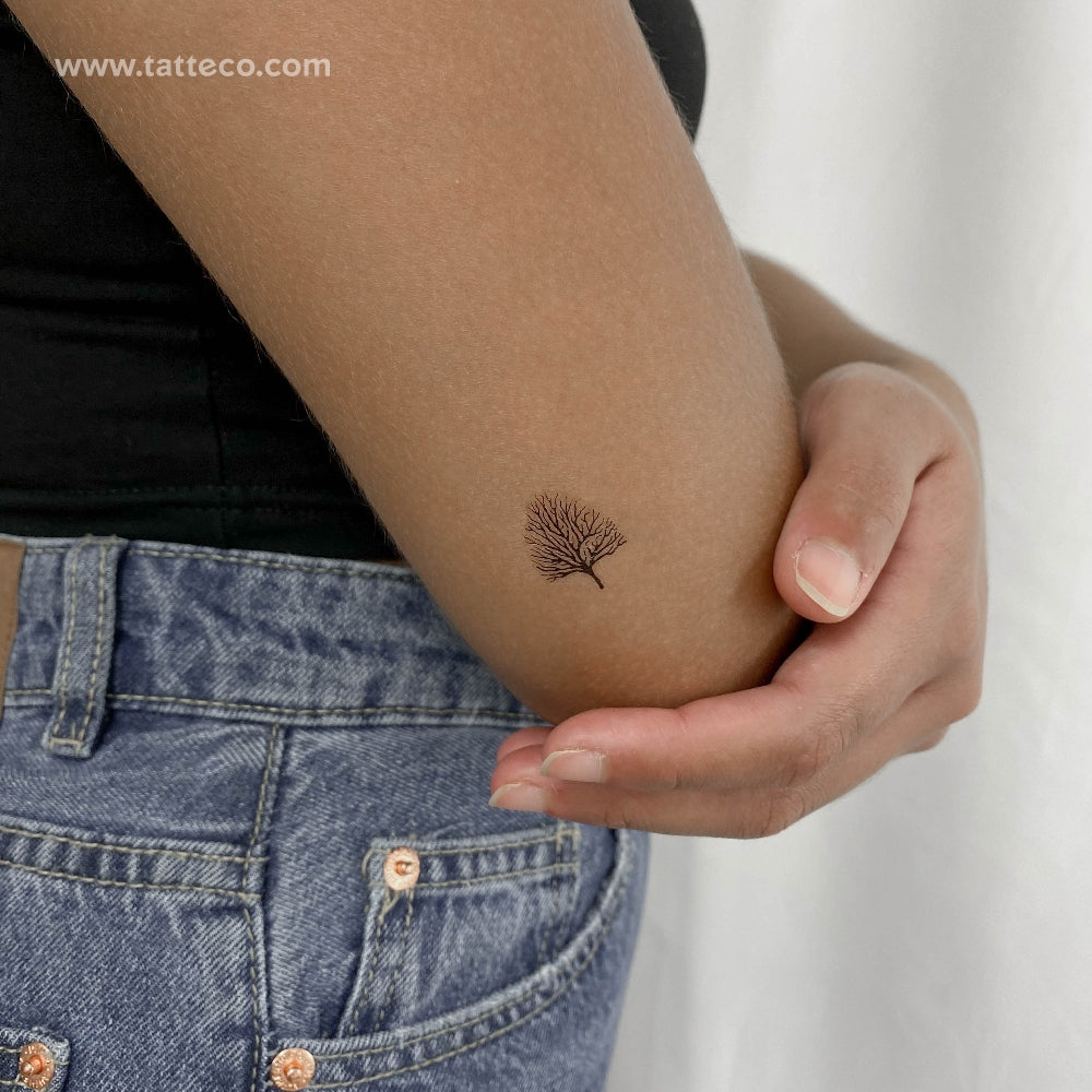 Small Leafless Tree Temporary Tattoo - Set of 3