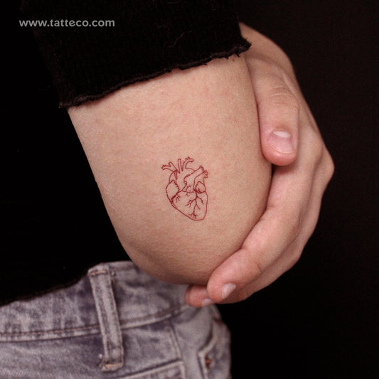 Tatuaje temporal de corazón anatómico rojo de línea fina (juego de 3)