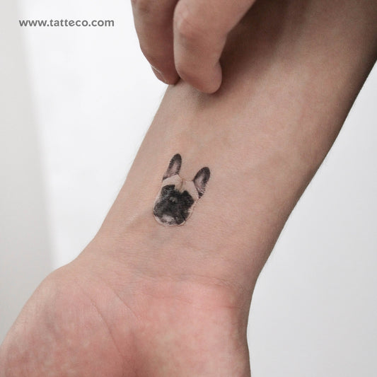 Tatuaje temporal de retrato de bulldog francés (juego de 3)