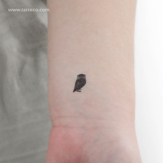 Tiny Owl Temporary Tattoo - Set of 3