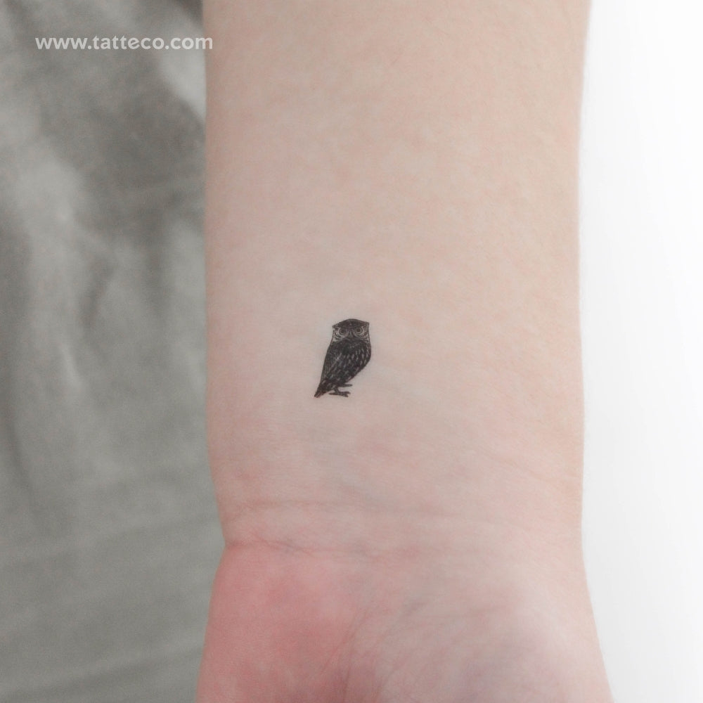 Tiny Owl Temporary Tattoo - Set of 3