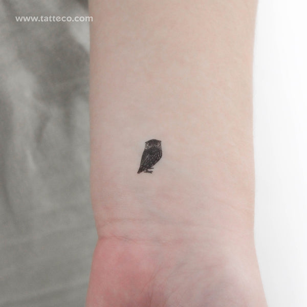 Tiny Owl Temporary Tattoo - Set of 3