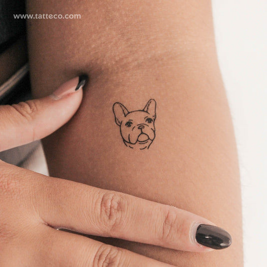 Tatuaje temporal de bulldog francés (juego de 3)