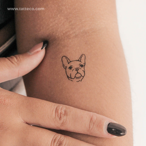 French Bulldog Temporary Tattoo - Set of 3