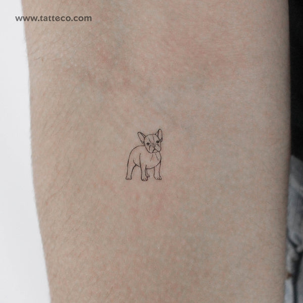 Tiny French Bulldog Temporary Tattoo - Set of 3