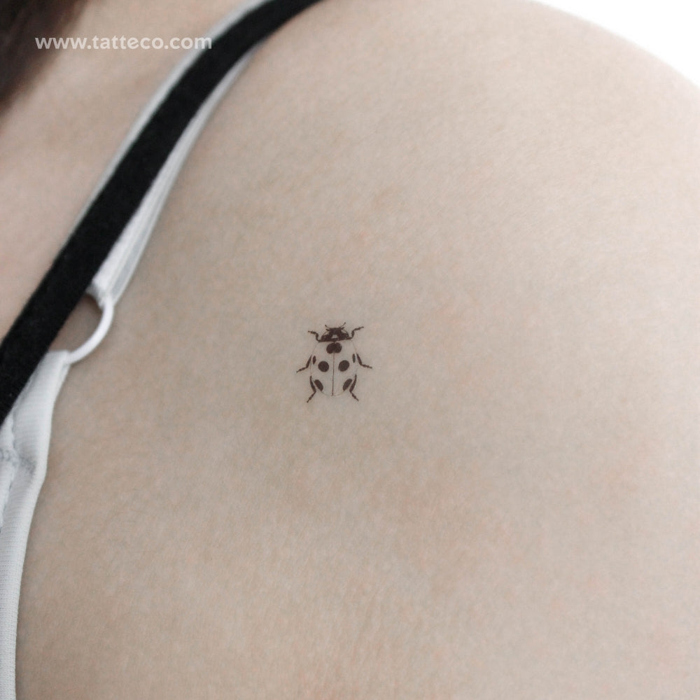 Tatuaje temporal minimalista de mariquita (juego de 3)