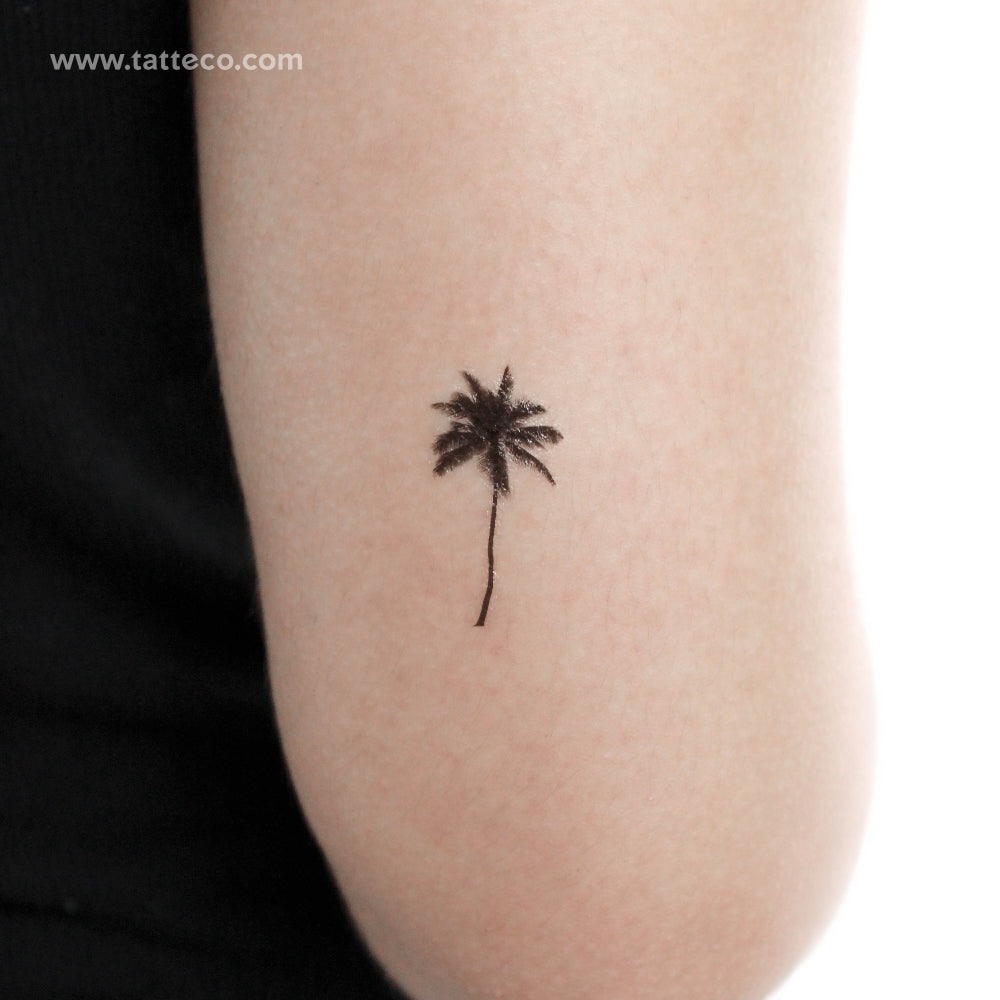 Tatuaje temporal de palmera - Juego de 3