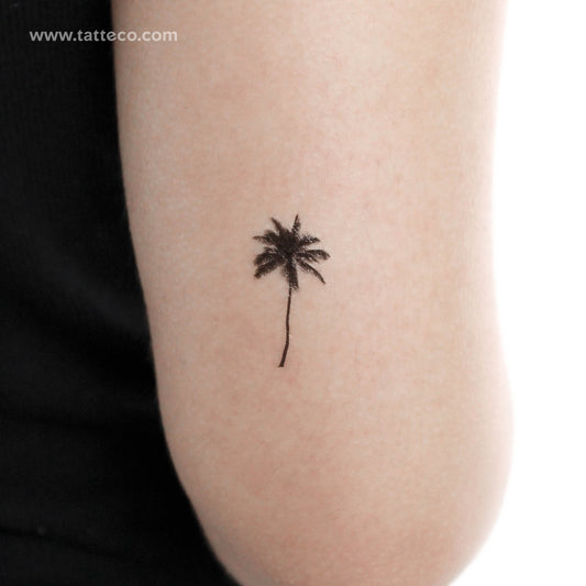 Tatuaje temporal de palmera - Juego de 3