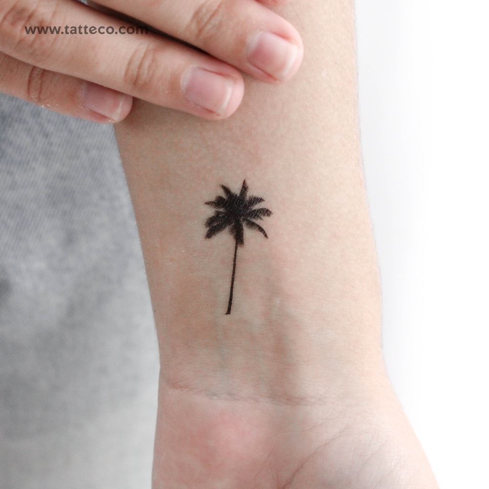Tatuaje temporal de palmera - Juego de 3