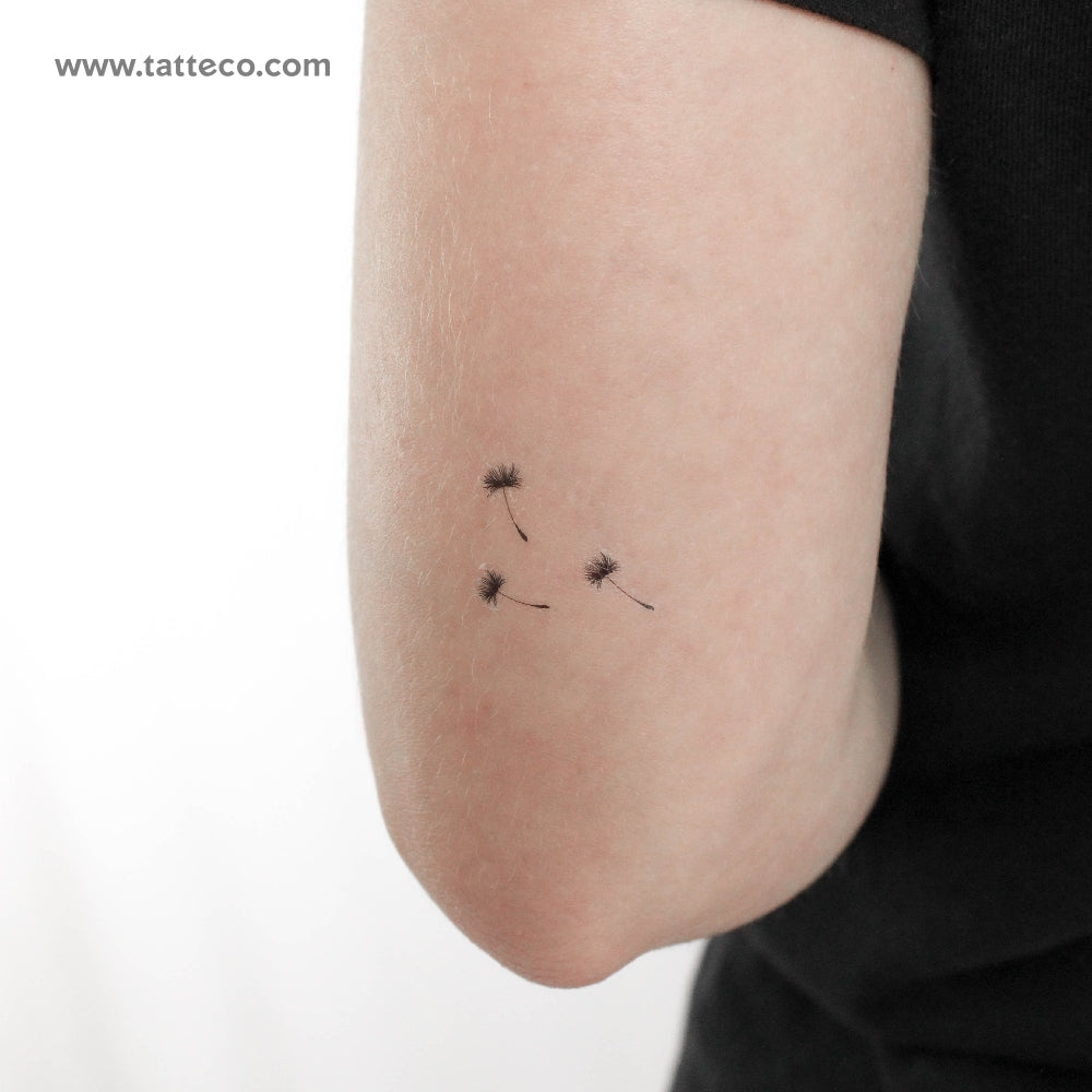 Three Dandelion Seeds Temporary Tattoo - Set of 3