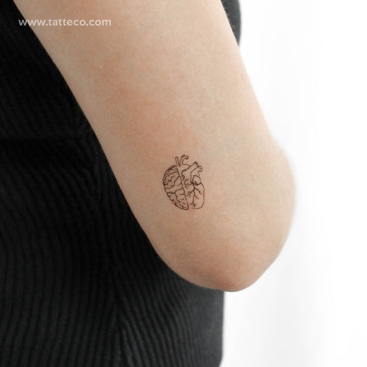 Tatuaje temporal anatómico de corazón y cerebro (juego de 3)
