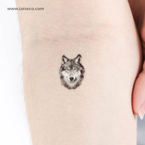 Wolf Portrait Temporary Tattoo - Set of 3