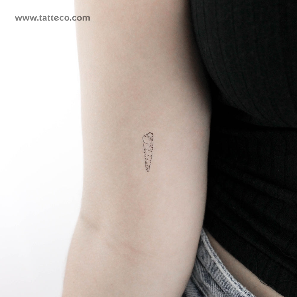Auger Shell Temporary Tattoo - Set of 3