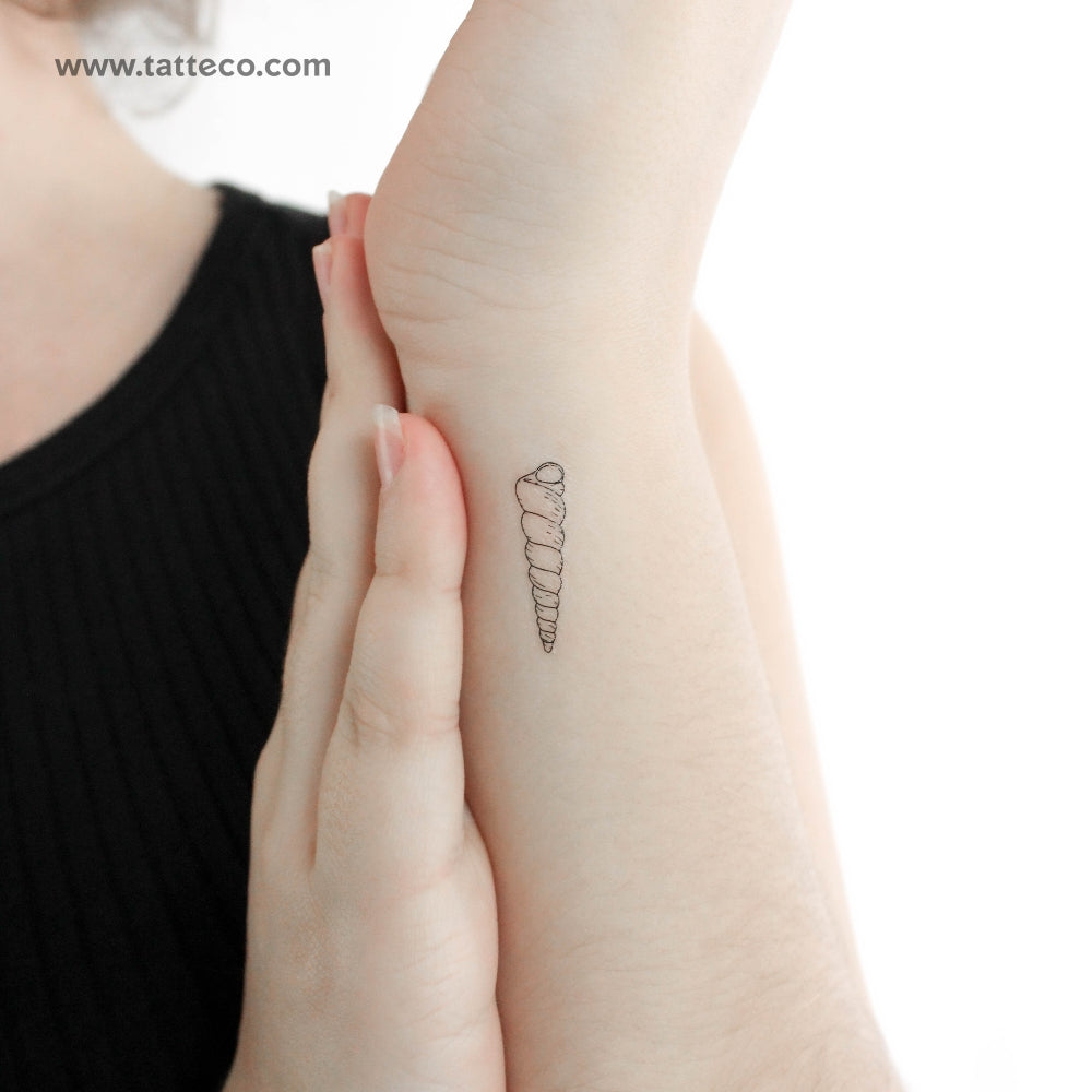 Auger Shell Temporary Tattoo - Set of 3
