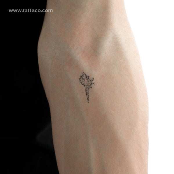 Tulip Shell Temporary Tattoo - Set of 3