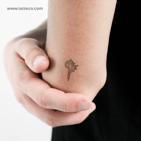 Tulip Shell Temporary Tattoo - Set of 3