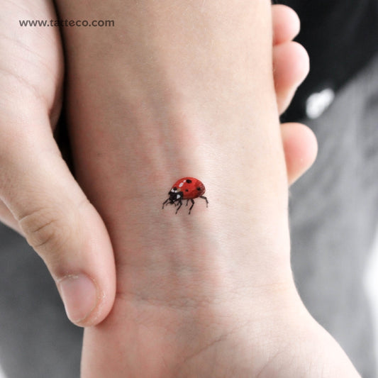 Tatuaje temporal de mariquita - Juego de 3