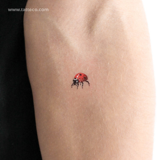 Tatuaje temporal de mariquita - Juego de 3