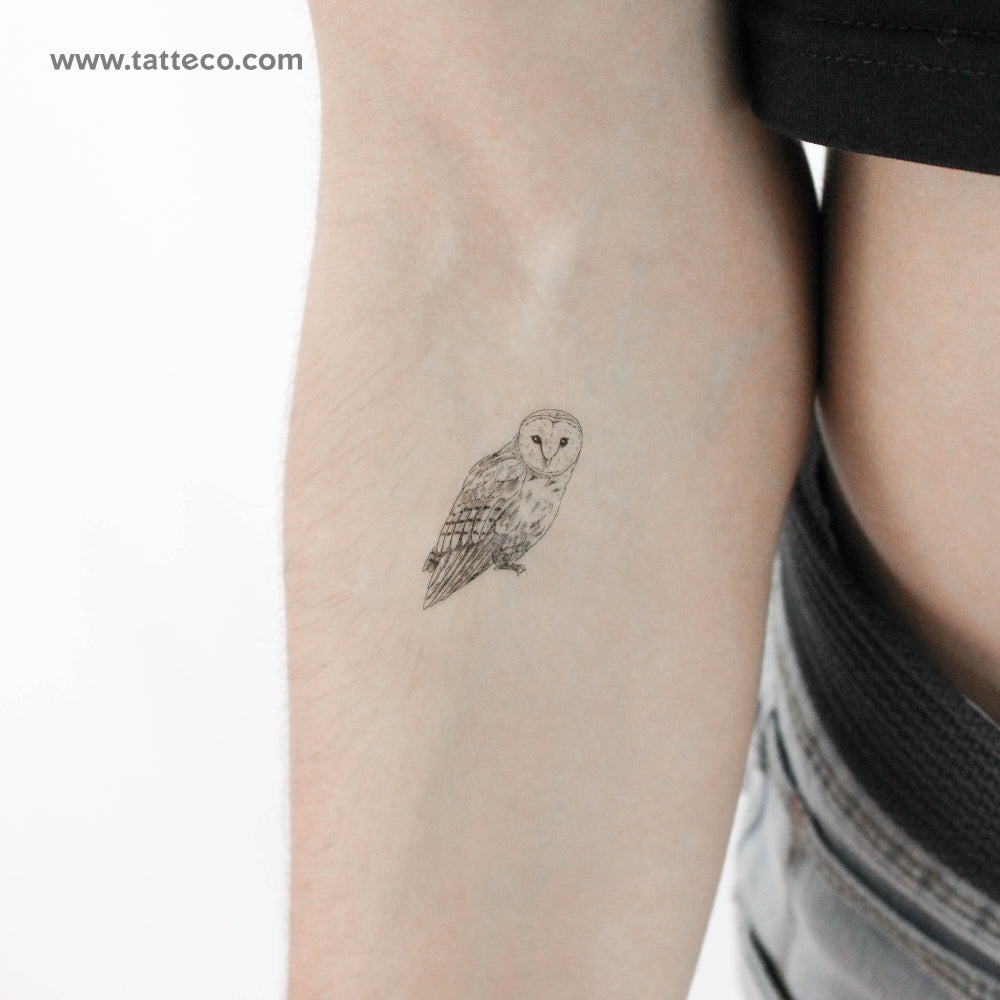 Barn Owl Temporary Tattoo - Set of 3