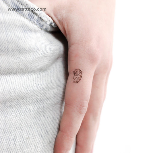 Tiny Brain Temporary Tattoo - Set of 3