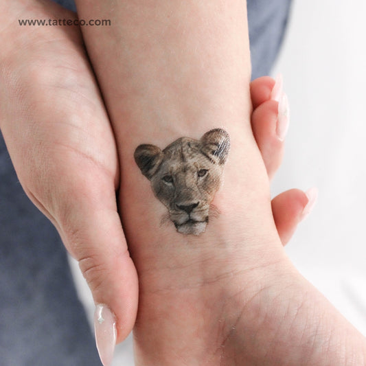 Tatuaje temporal de leona - Juego de 3