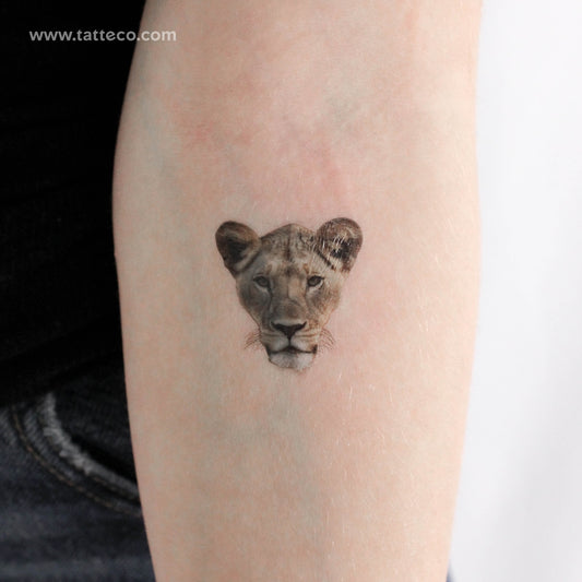 Tatuaje temporal de leona - Juego de 3