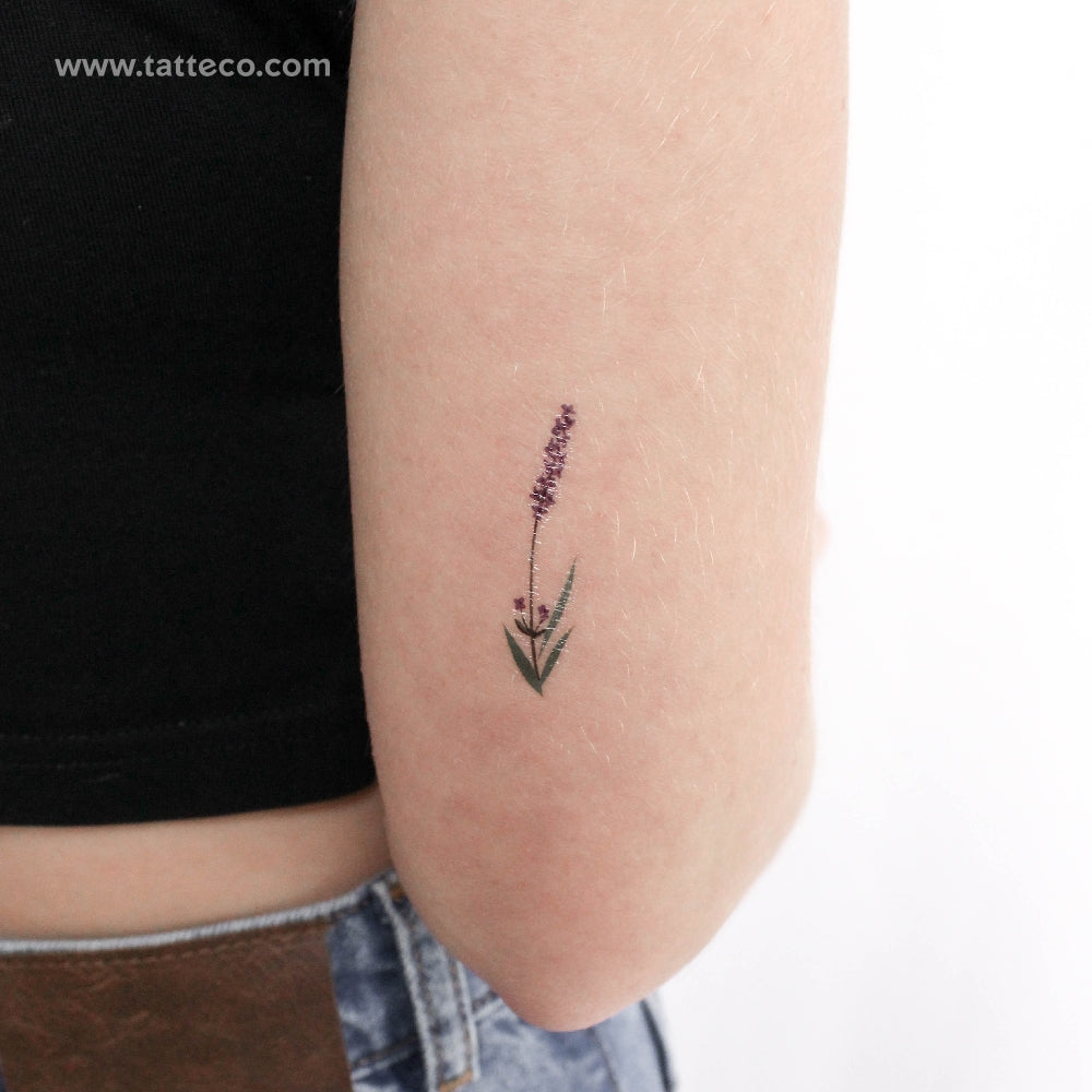 Tatuaje temporal de lavanda de Zihee - Juego de 3