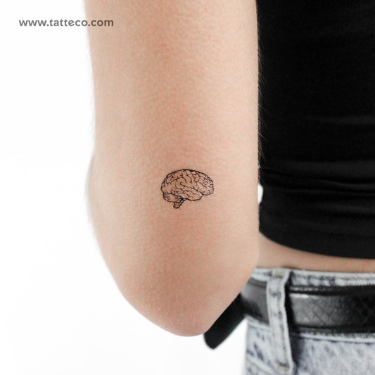 Small Brain Temporary Tattoo - Set of 3