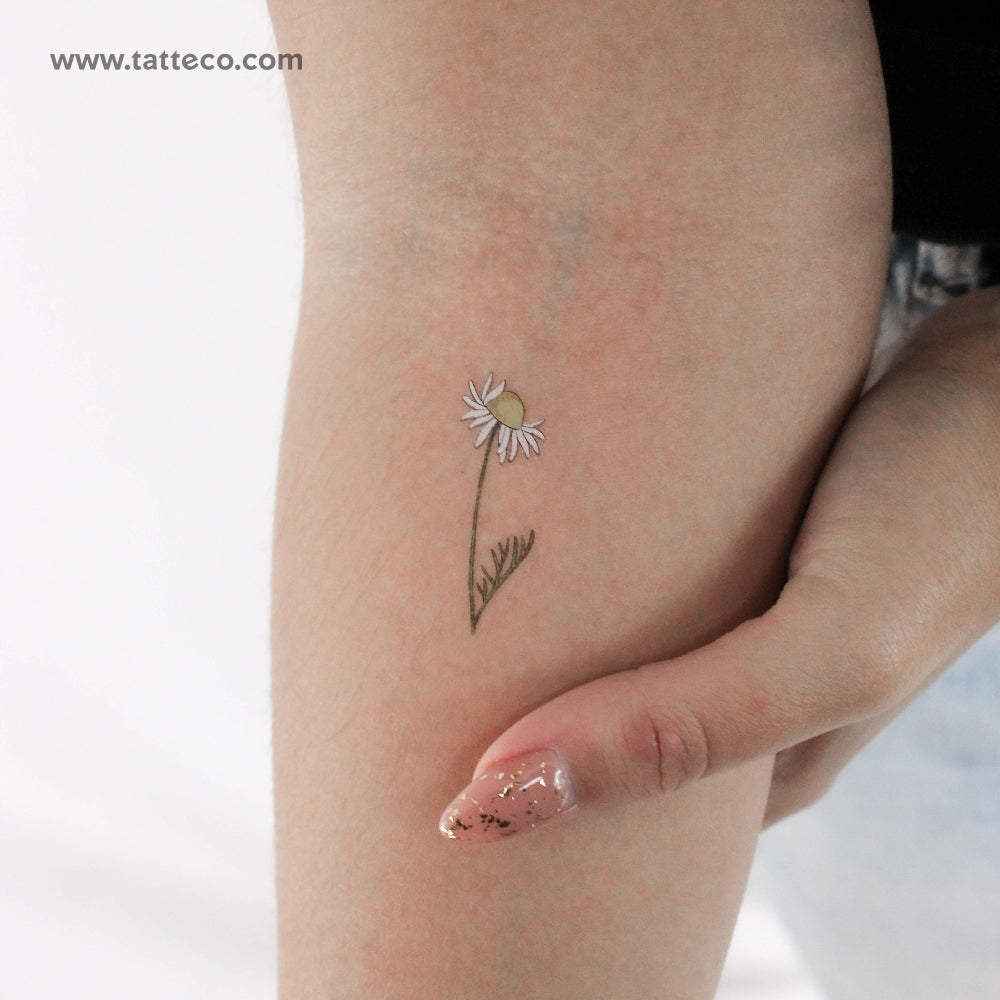 Chamomile By Ann Lilya Temporary Tattoo - Set of 3