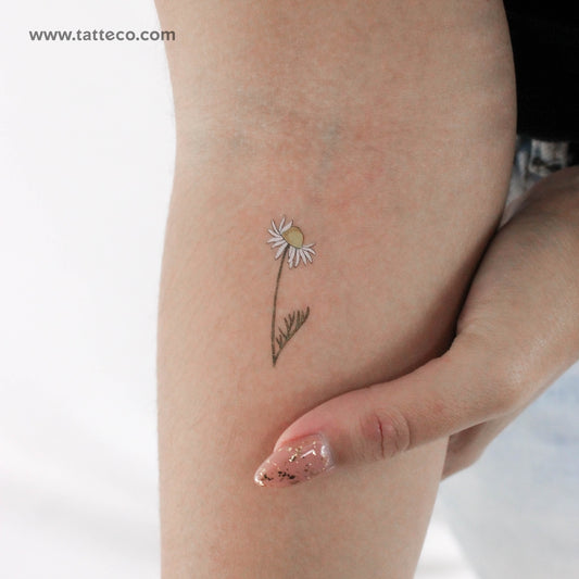 Chamomile By Ann Lilya Temporary Tattoo - Set of 3