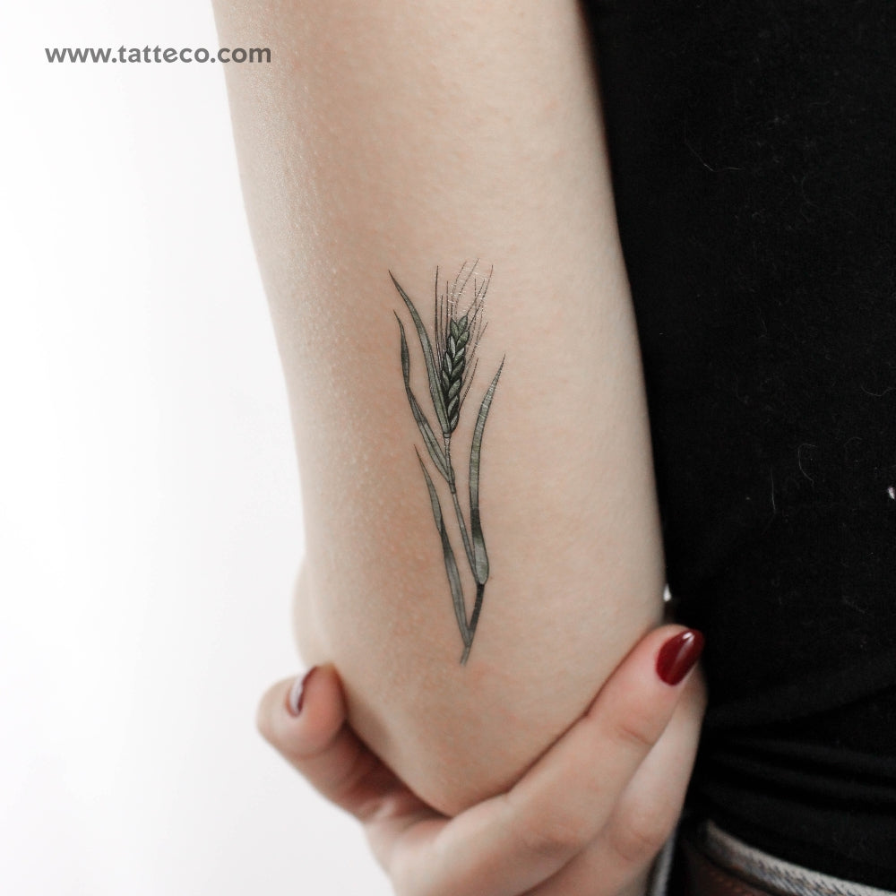 Green Wheat By Ann Lilya Temporary Tattoo - Set of 3