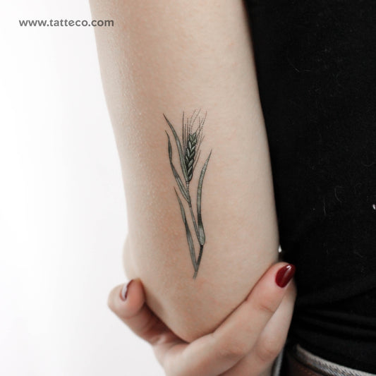 Tatuaje temporal "Trigo verde" de Ann Lilya (juego de 3)