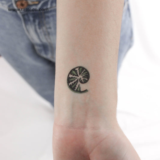 Young Fern By Ann Lilya Temporary Tattoo - Set of 3