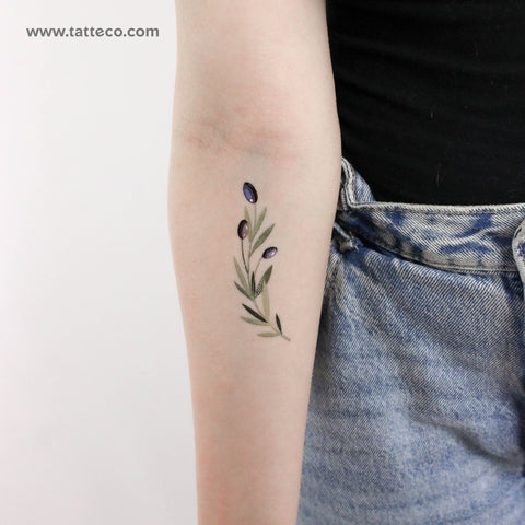 Olive Branch By Ann Lilya Temporary Tattoo - Set of 3