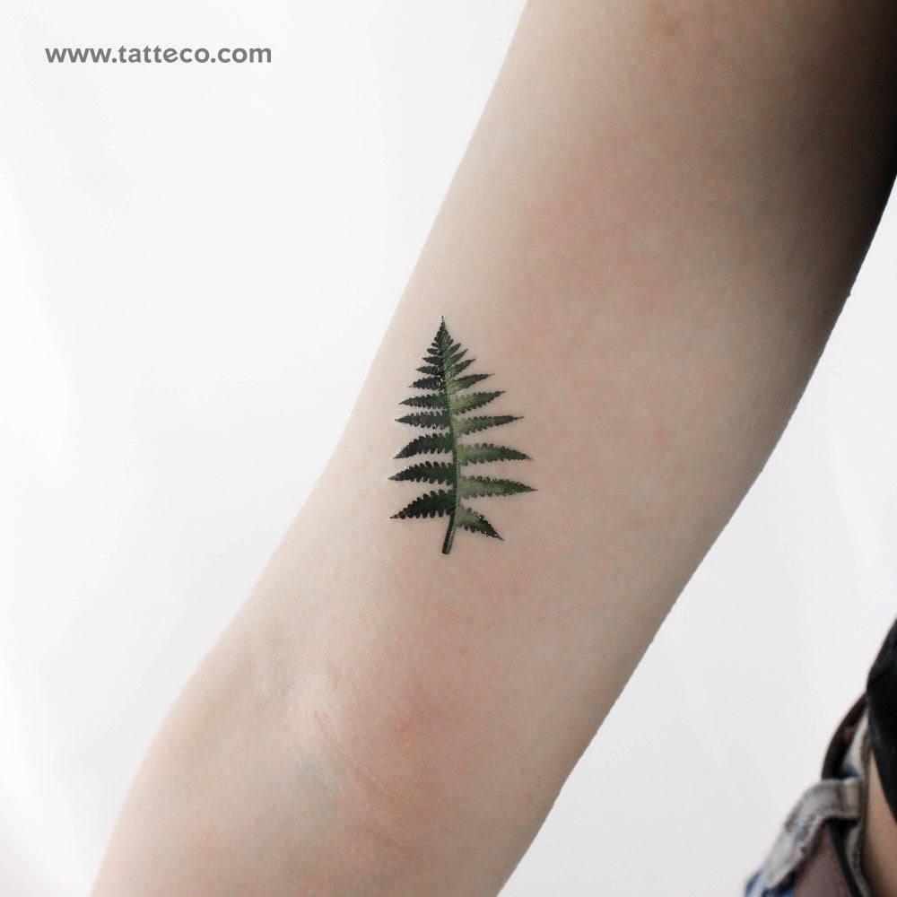 Tatuaje temporal de hoja de helecho pequeña de Ann Lilya (juego de 3)