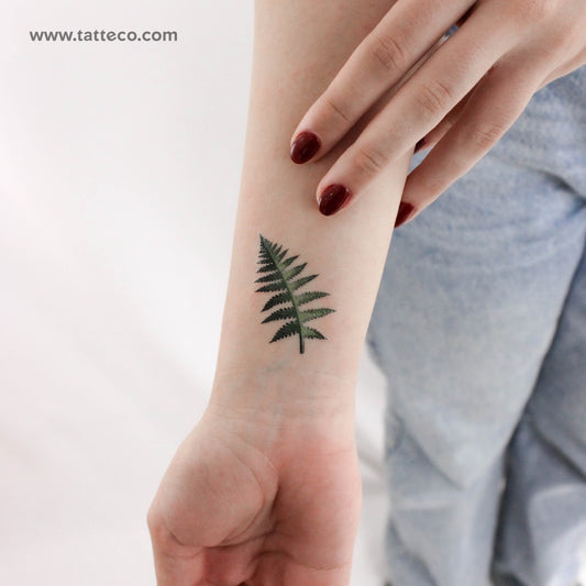 Small Fern Frond By Ann Lilya Temporary Tattoo - Set of 3