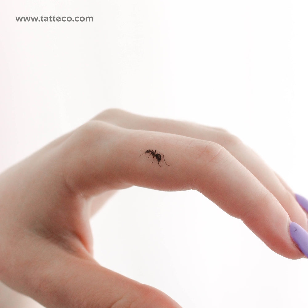 Ant Temporary Tattoo - Set of 3