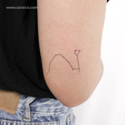 Tatuaje temporal de Draco - Juego de 3