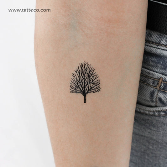 Tatuaje temporal de árbol sin hojas - Juego de 3