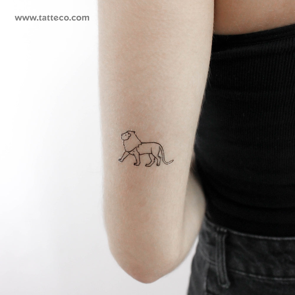 Tatuaje temporal de león andante (juego de 3)