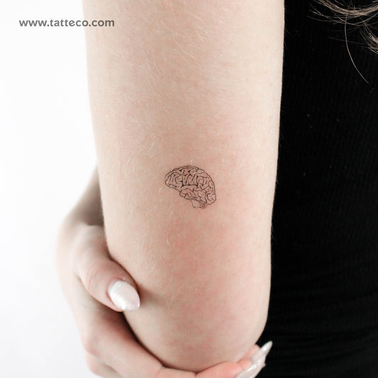 Tatuaje temporal de cerebro - Juego de 3