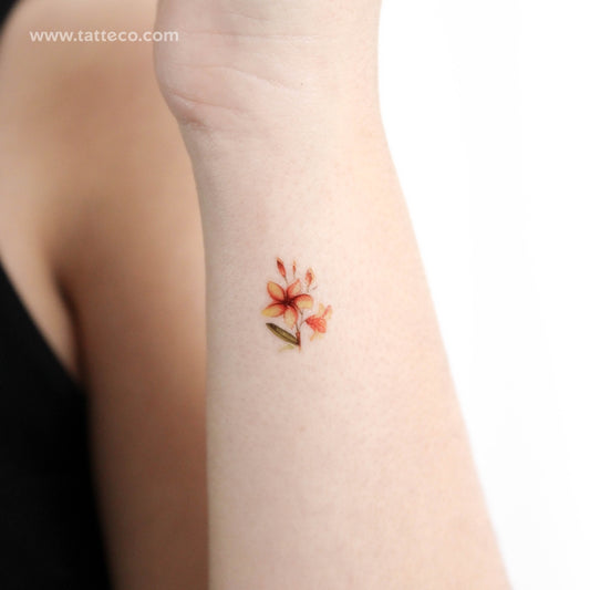 Tatuaje temporal pequeño de plumeria en acuarela (juego de 3)