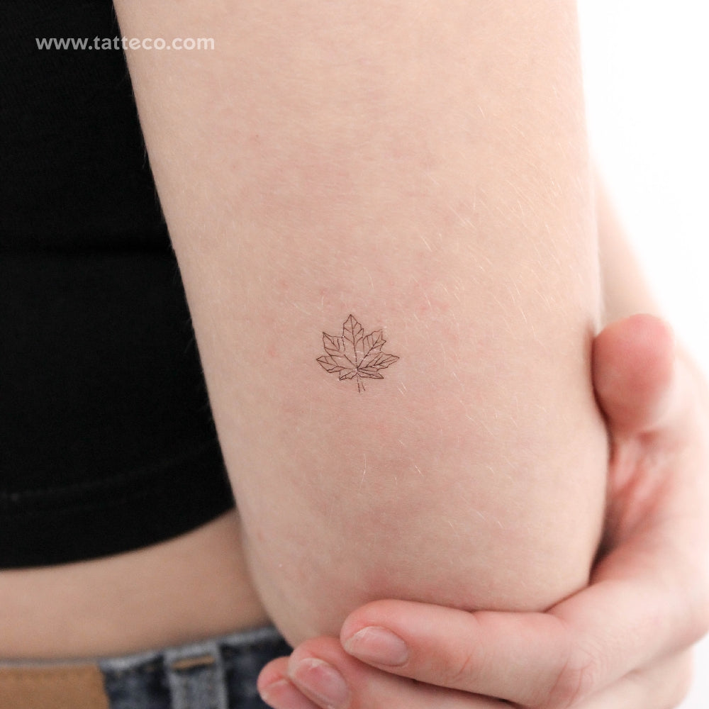 Tatuaje temporal de hoja de arce (juego de 3)