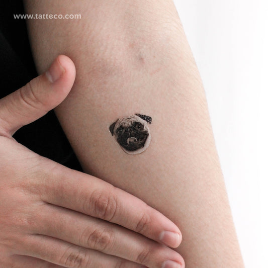 Pug Portrait Temporary Tattoo - Set of 3